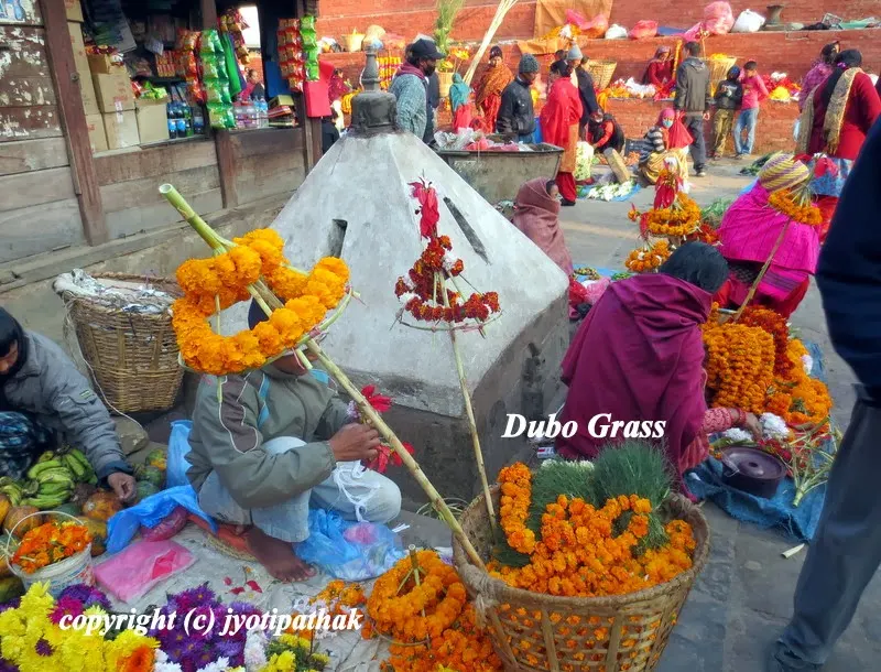 Dubo grass and marigold flowers for sale in Kathmandu markets during Thulo Ekadashi (Haribodhini Ekadashi)