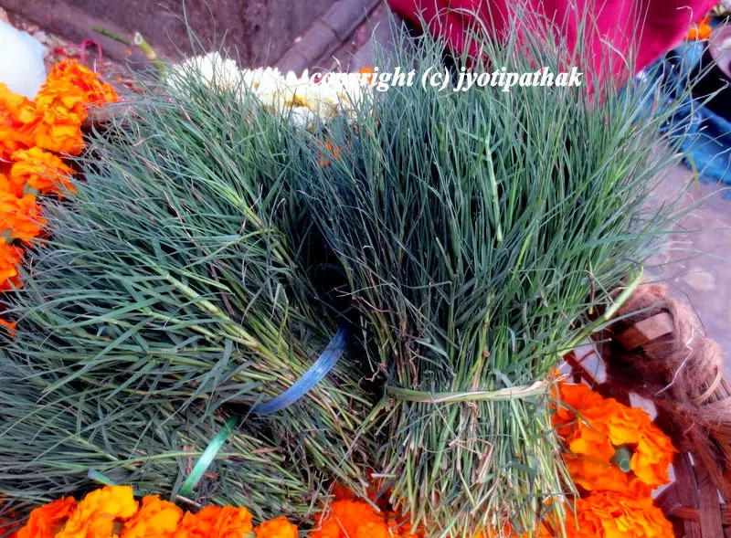 The bundled holy grass are for sale in Nepali markets to offer to deities. It is believed that the grass has a purifying powers according to Nepali spiritual belief.