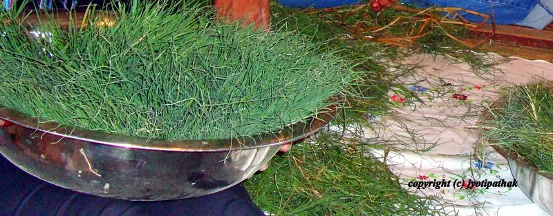 Dubo Grass Garland - (हरियो दुबो घास को माला)