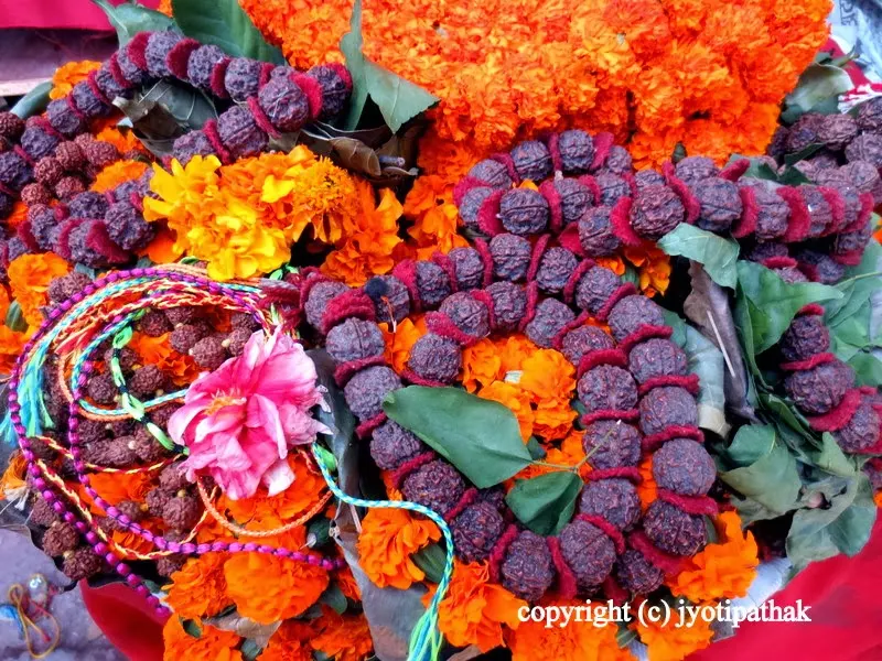 Maha Shivaratri 2014