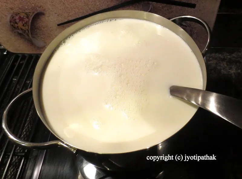 Homemade Yogurt - एक राते दही