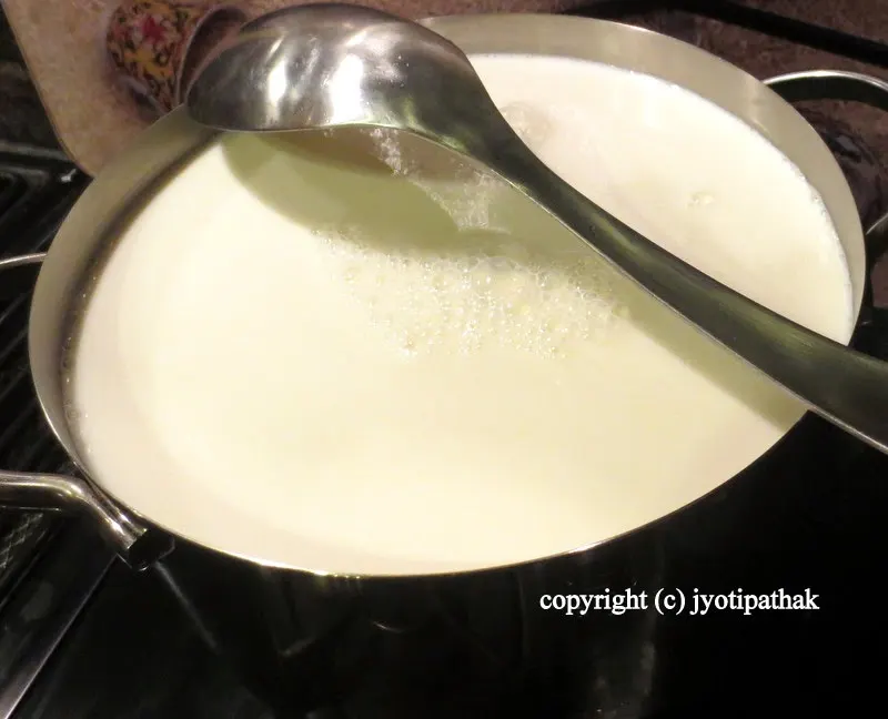Homemade Yogurt - एक राते दही