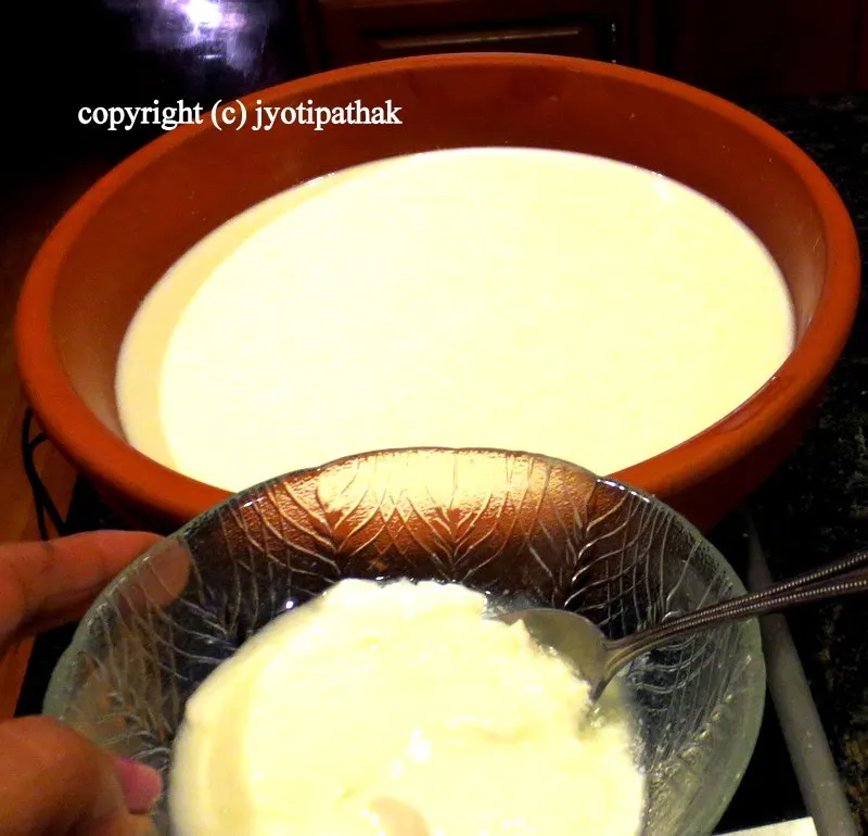 Homemade Yogurt - एक राते दही