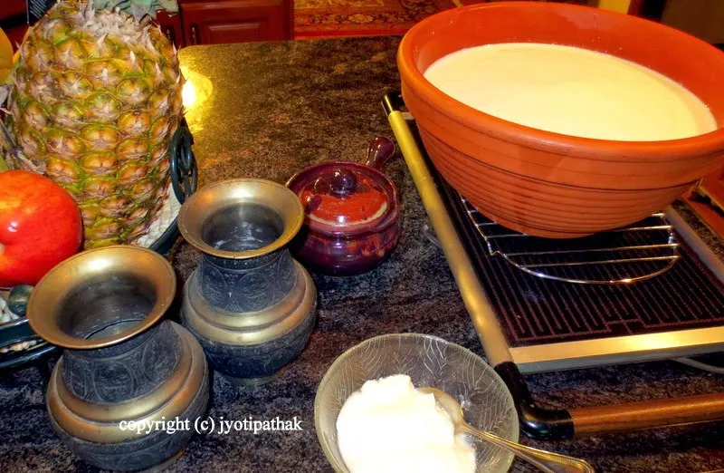 Homemade Yogurt - एक राते दही