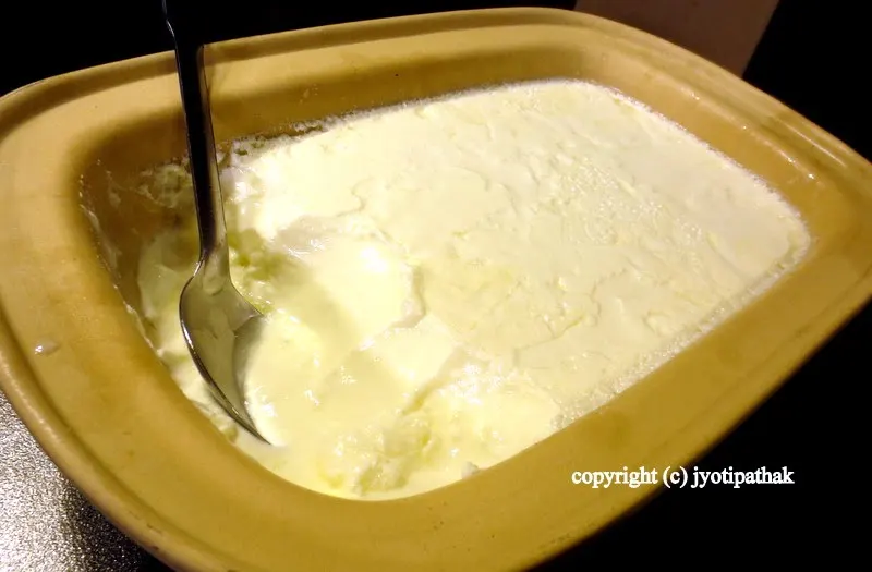Homemade Yogurt - एक राते दही