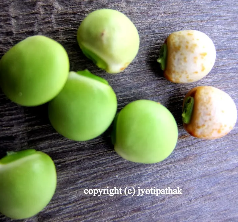 Rahar ko Daal – split yellow pigeon peas (without skins)