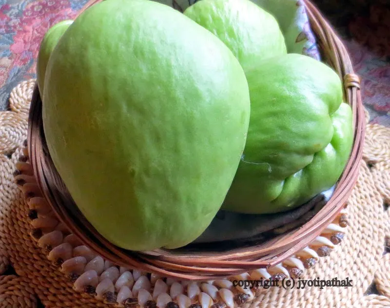 These recipes were cooked with chayote that are found in the United states