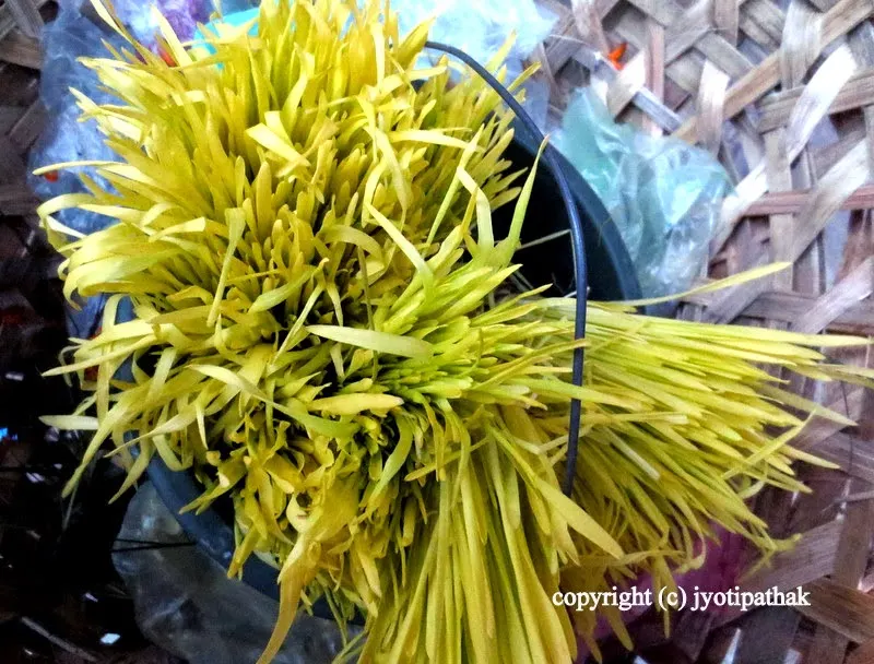 Tikaa and Jamaraa (Bijaya Dashami)
