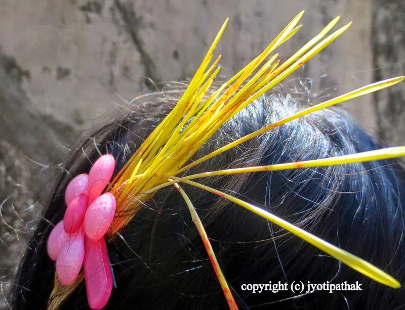 In this picture, the auspicious golden jamaraa is carefully tucked in the back of the hair with a pink pin
