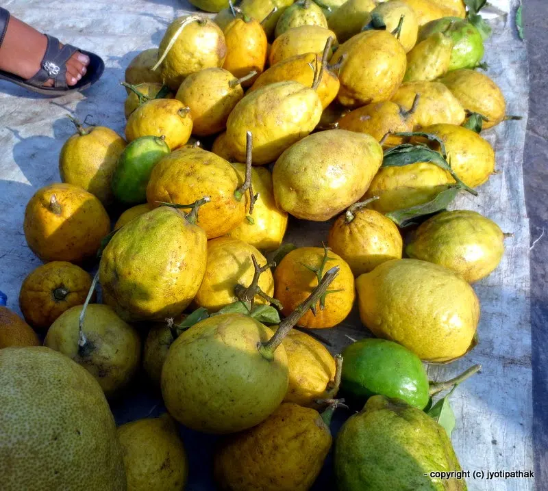 Citron - Bimiro - (बिमिरो) - Citrus medica L.
