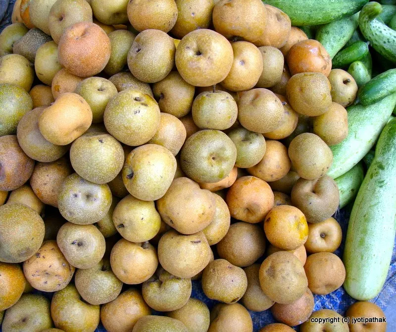 Pear - Nashpaati - (नास्पाती) - Pyrus communis L.