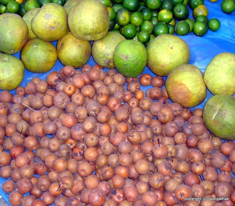Pear - Nashpaati - (नास्पाती) - Pyrus communis L.