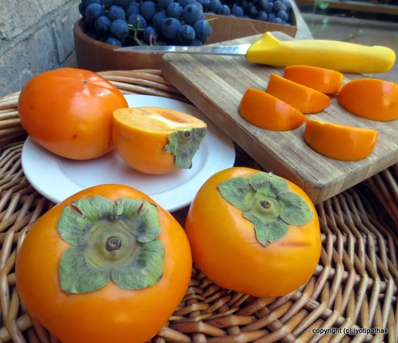 Persimmon - Haluaabed - (हलुवाबेद) - Japanese persimmon - Diospyros kaki