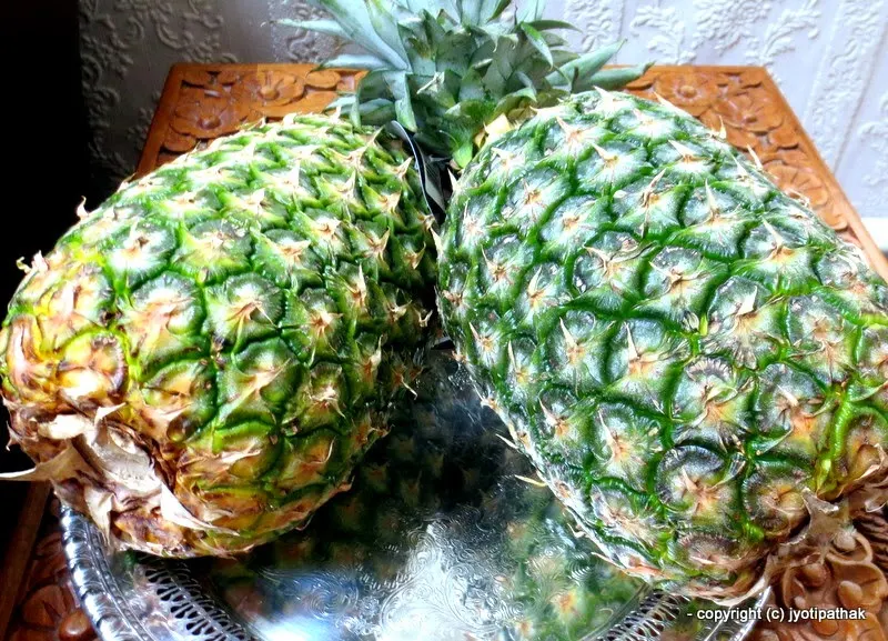 Pineapple - Bhuin Katahar - (भुइँ कटहर)