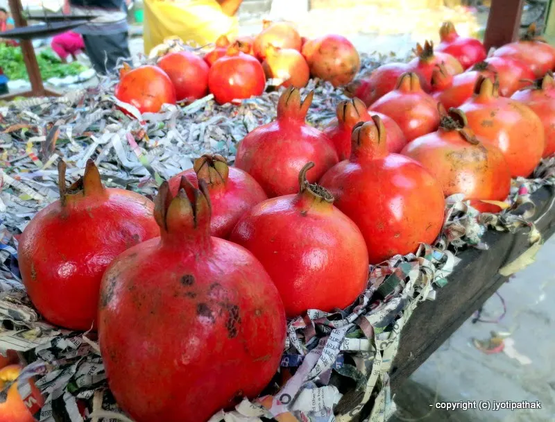Pomegranate - Anaar, Daarim - (अनार - दारिम) - Punica granatum L.