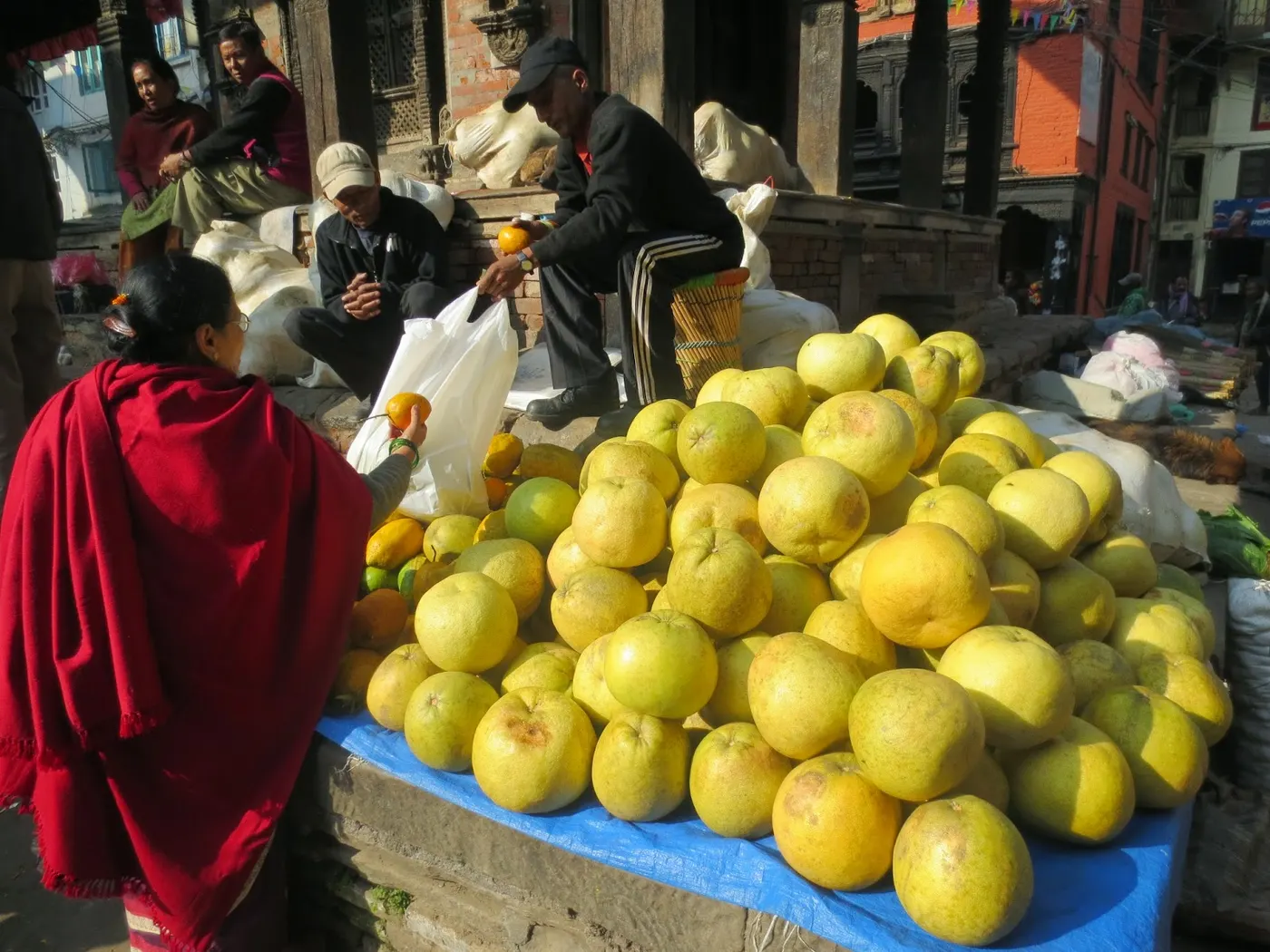 Pomilo or Pummelo - Bhogate - (भोगटे) - Citrus grandis Osbeck