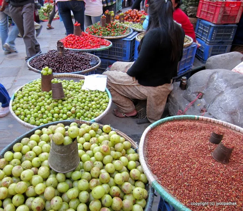 Vegetable market at Ason Tole, Kathmandu - Far right - Sati Bayar - (Nepal sumac) - Satibayar - (सति वयर) - Rhus parviflora Roxb.