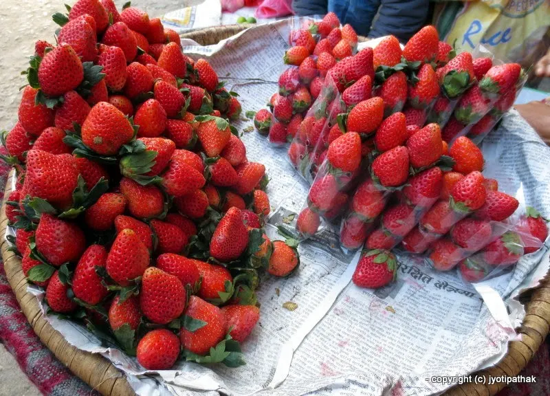 Strawberry - Straberi - (स्ट्रबेरी)