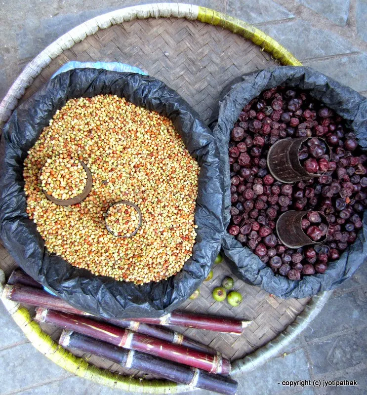 On the Right - Bayar, fully wripe and wrinkled (Chinese Date, Indian Plum) - (बयर) - Zigyphus mauritiana Lamk