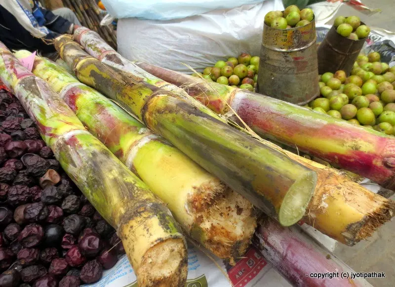 Sugarcane - Ukhu - (उखु) - Saccharum officinarum L.