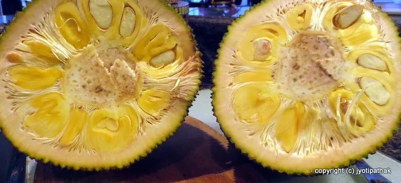 Sliced Jack Fruit - Rukh Kathar - (रुख कटहर)