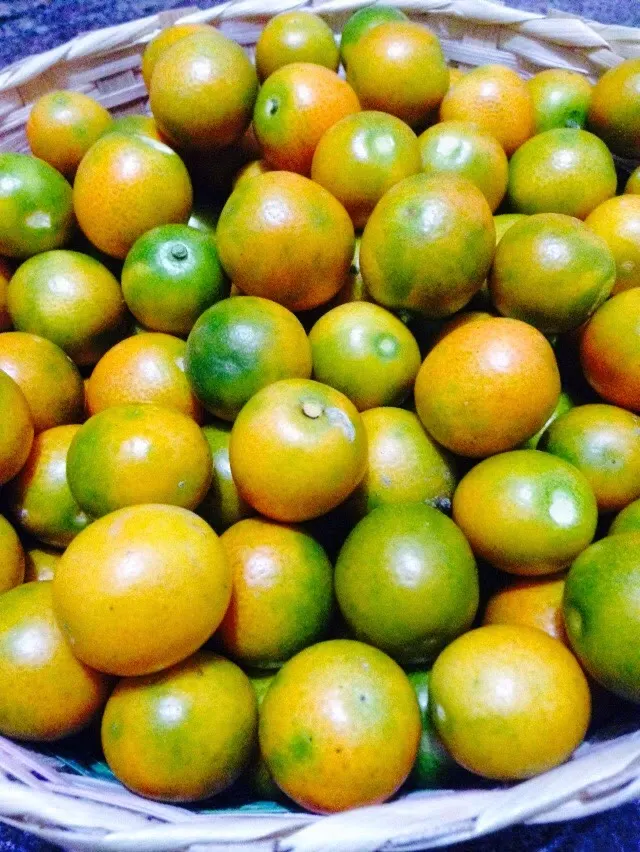 Kumquat - Muntalaa - (मुन्तला) - Fortunella joponica Swingle - photo courtesy -K. Lissanevitch
