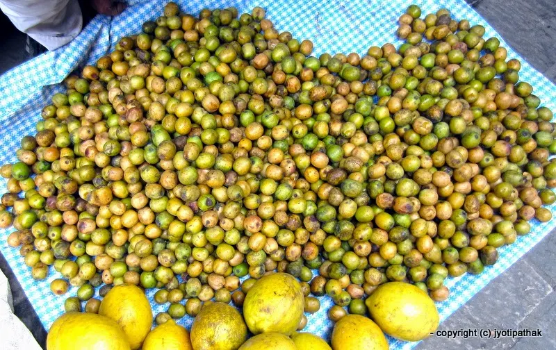 Lapsi - Nepalese Hog Plum - (लप्सी) - Choerosopondias axillaries Roxb.