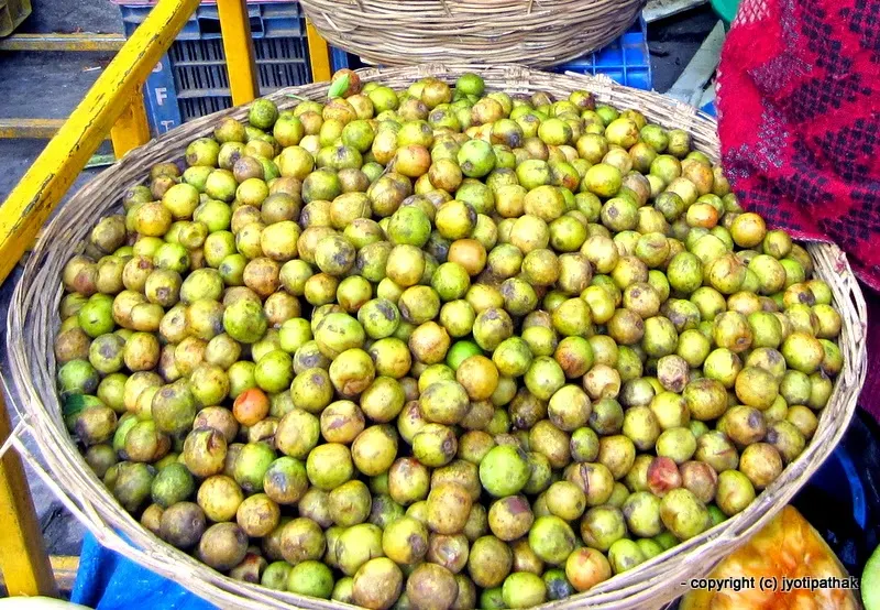 Lapsi - Nepalese Hog Plum - (लप्सी) - Choerosopondias axillaries Roxb.