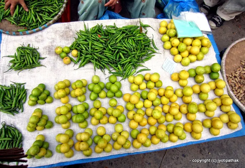 Lime (green) Kaagati - (कागती) - Citrus aurantifolia Swingle