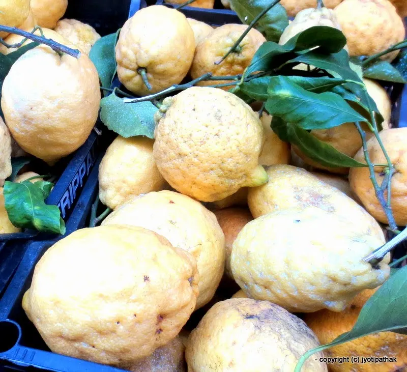 Lemon, Rough - Kaathe Jyamir - (काठे ज्यामीर) - Citrus jambhiri
