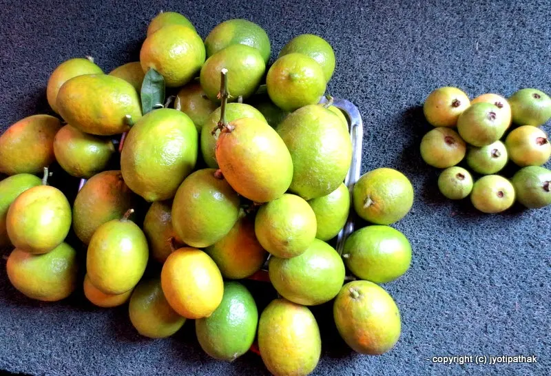 Lemon (smooth-skinned) - Kaagati - (कागती)