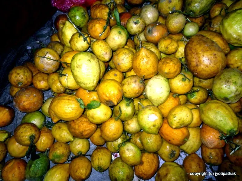 Lemon (chook-amilo lemon) - Kaalo Jyamir - (कालो ज्यामीर) - Citrus junos Tanaka