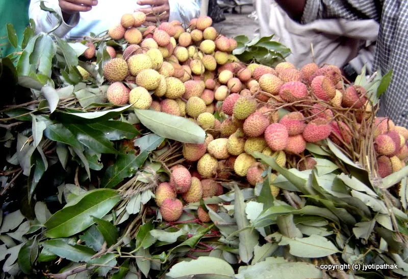 Lychee, Lichee - Lichi - (लिची) - Nephelium litchi camp.