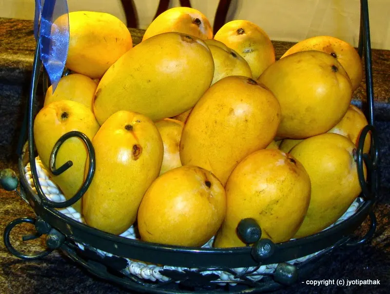 Mango - Aanp - (आँप)