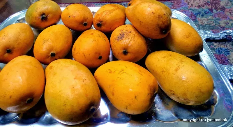 Mango - Aanp - (आँप)