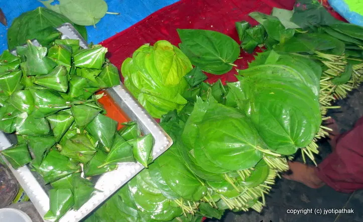 Fresh green betel leaves, locally known as Paan ko Paat (पान को पात).