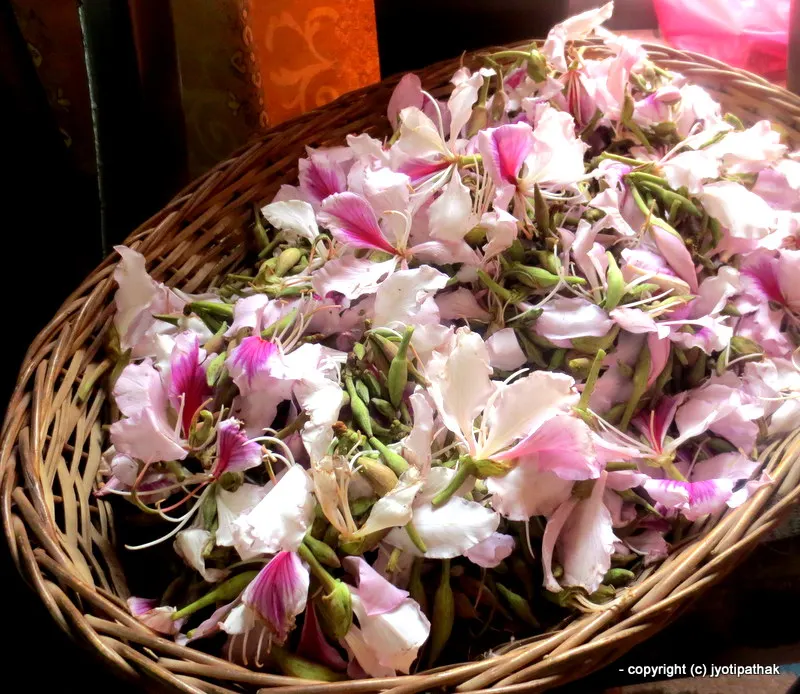Bauhinia and Potato Salad (Koirala ko Phool re Aloo ko Achaar)