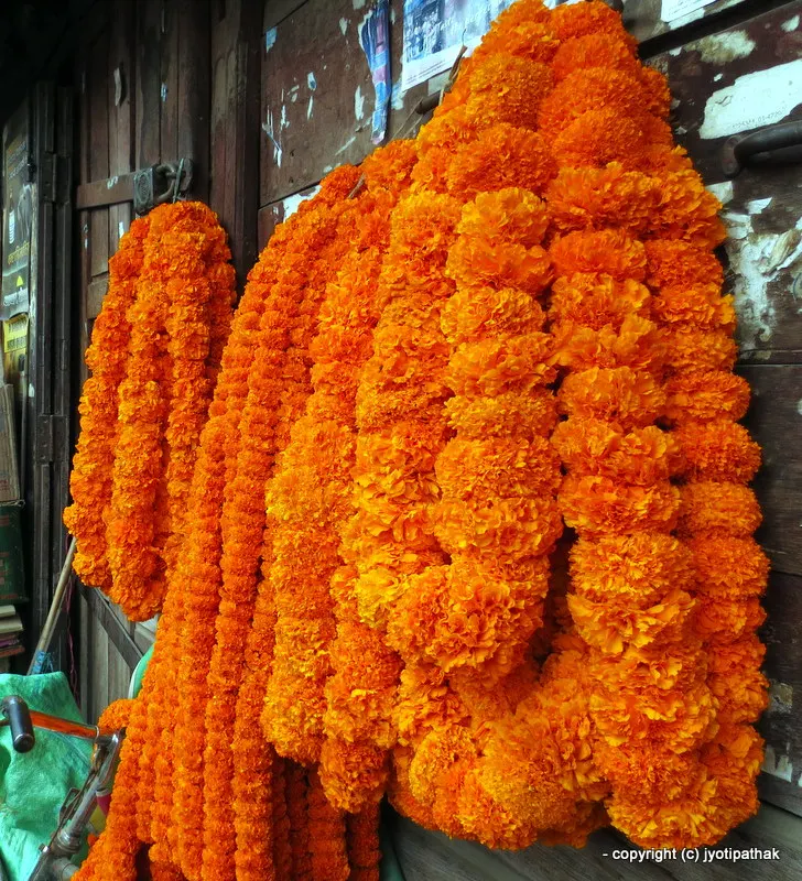 2016 - Happy Deepawali-Tihar-Bhai Tika