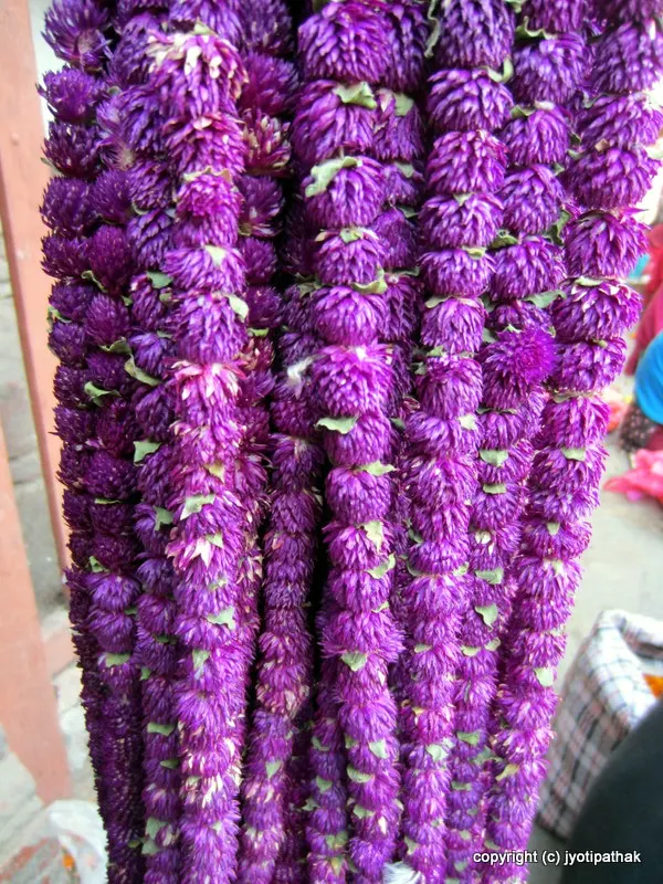 2016 - Happy Deepawali-Tihar-Bhai Tika