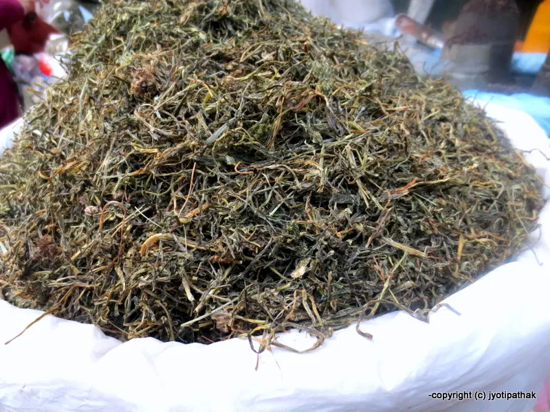 Jimbu – Nepalese Allium (Herb)