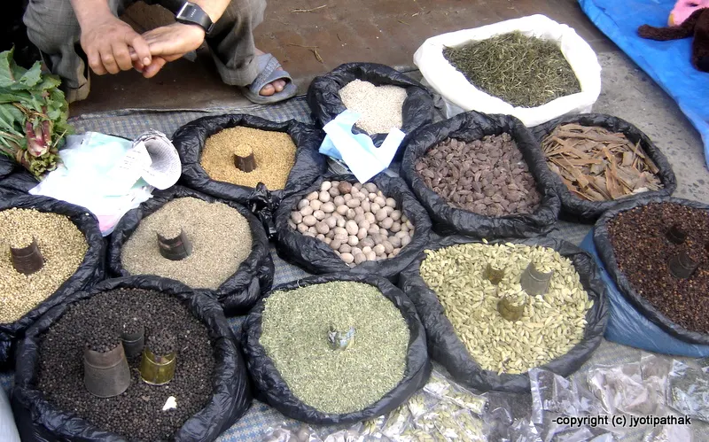 Jimbu – Nepalese Allium (Herb)